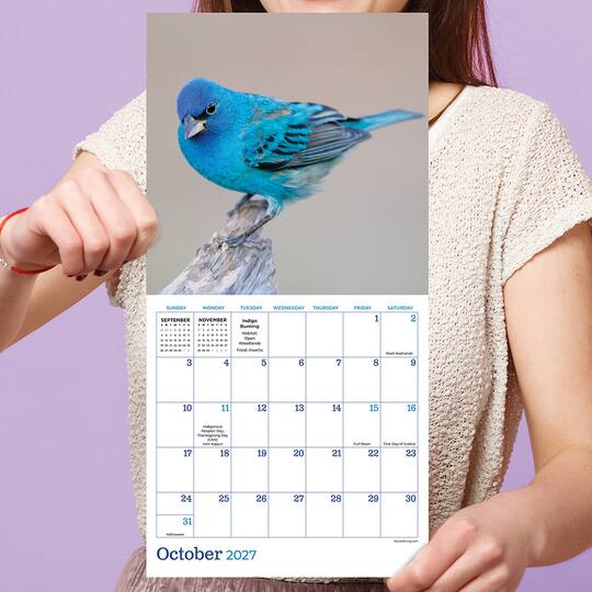 2027 Backyard Birds Mini Calendar